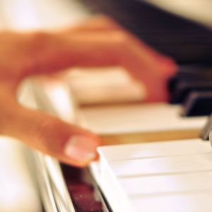 法国捆乳肛门性交
