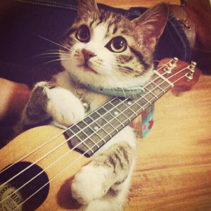 法国捆乳肛门性交
